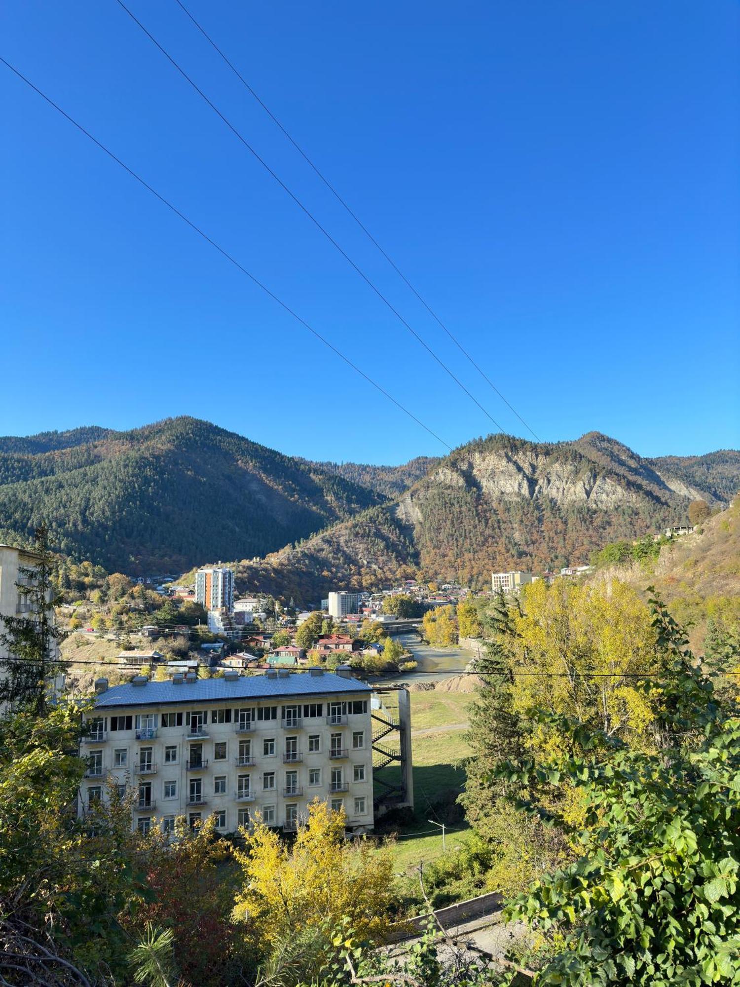 Woodland Borjomi Hotel Eksteriør billede