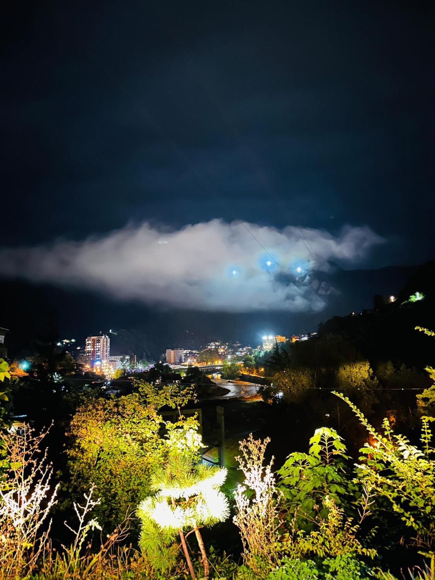 Woodland Borjomi Hotel Eksteriør billede