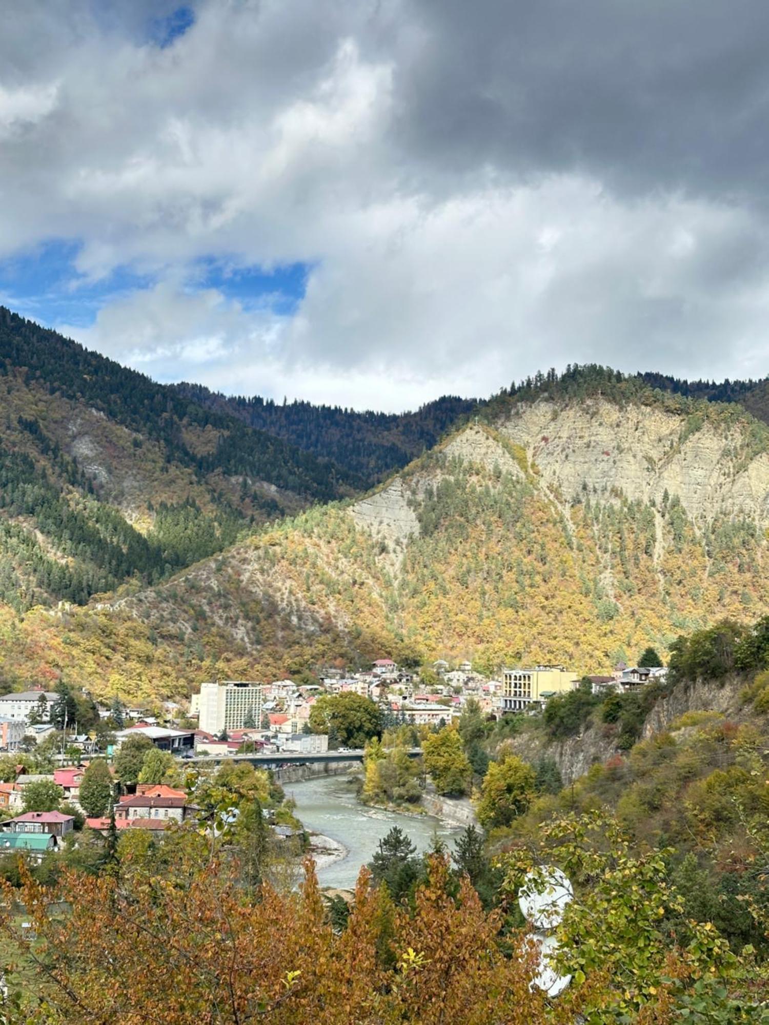 Woodland Borjomi Hotel Eksteriør billede
