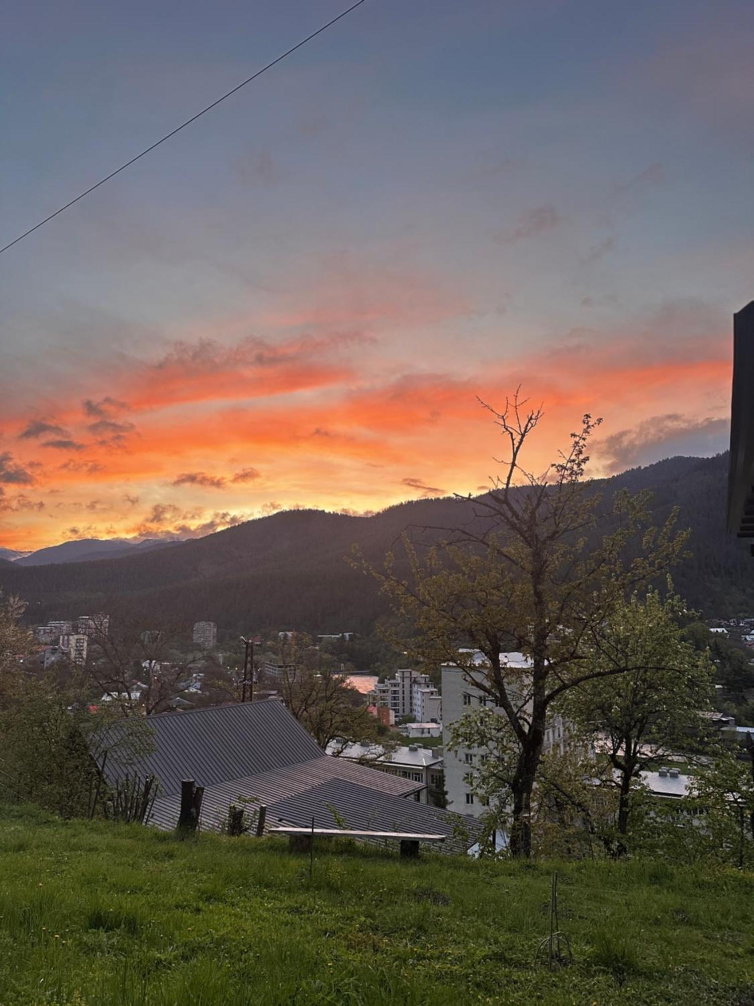 Woodland Borjomi Hotel Eksteriør billede